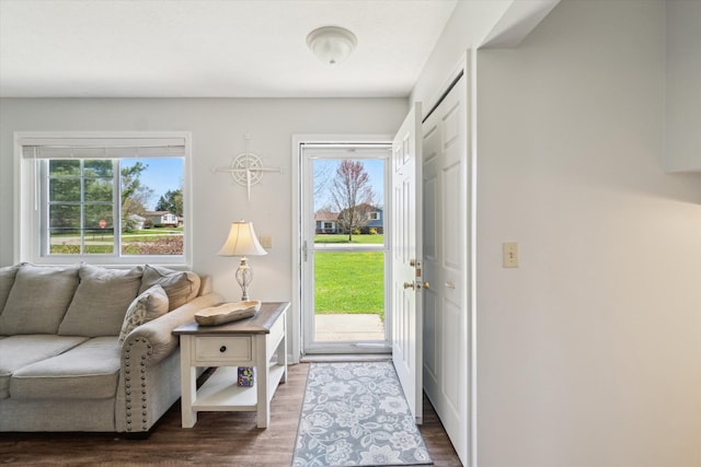 doorway with a healthy amount of sunlight and wood finished floors