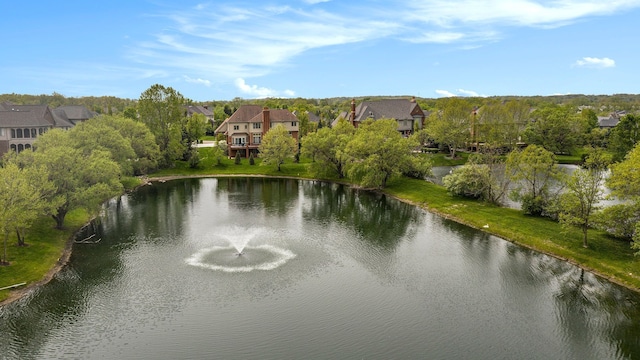 2832 Croftshire Ct, Rochester, MI 48306 - water view