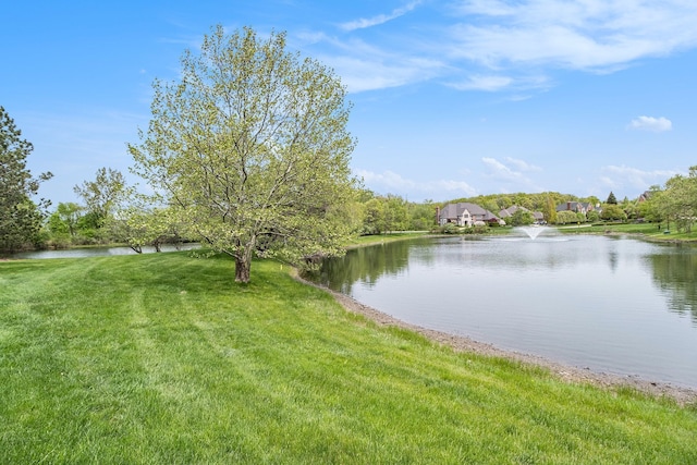 2832 Croftshire Ct, Rochester, MI 48306 - water view