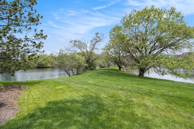 2832 Croftshire Ct, Rochester, MI 48306 - view of yard featuring a water view