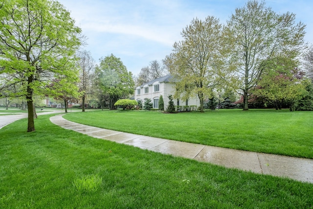 view of property's community with a yard