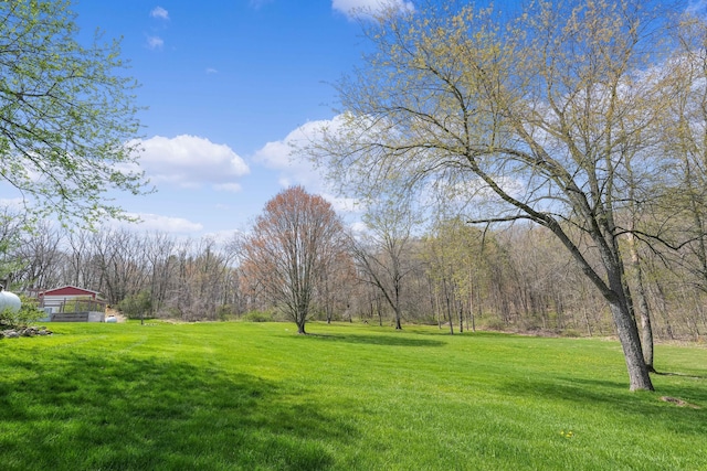 view of yard featuring a view of trees