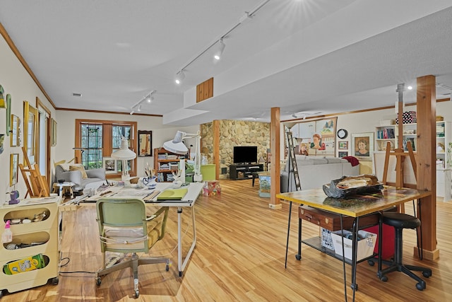 interior space featuring track lighting, ornamental molding, and light wood finished floors