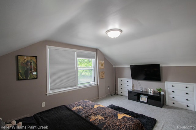 43 Canfield Dr, Mount Clemens, MI 48043 - bedroom with carpet flooring and lofted ceiling