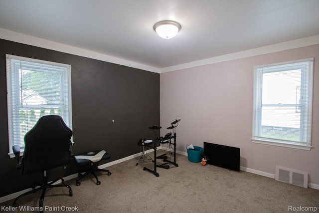 43 Canfield Dr, Mount Clemens, MI 48043 - home office featuring carpet and baseboards