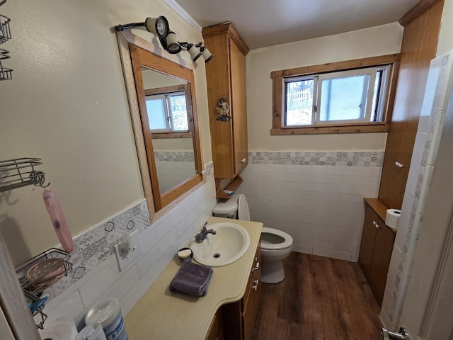 4280 Birch St, Lake, MI 48632 - bathroom with tile walls, toilet, a wainscoted wall, wood finished floors, and vanity