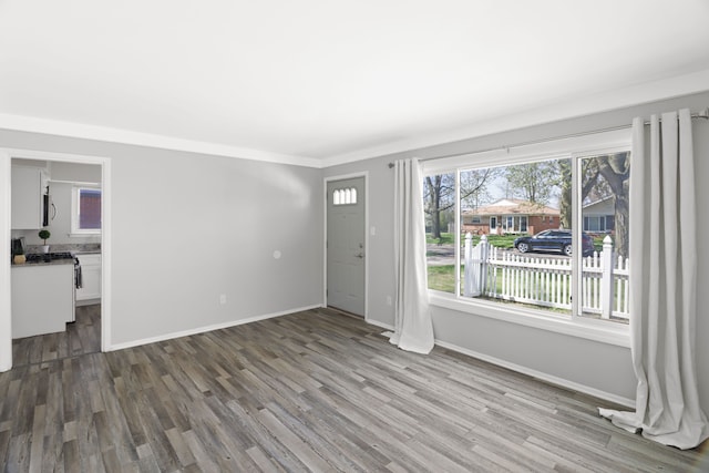 entrance foyer with baseboards and wood finished floors