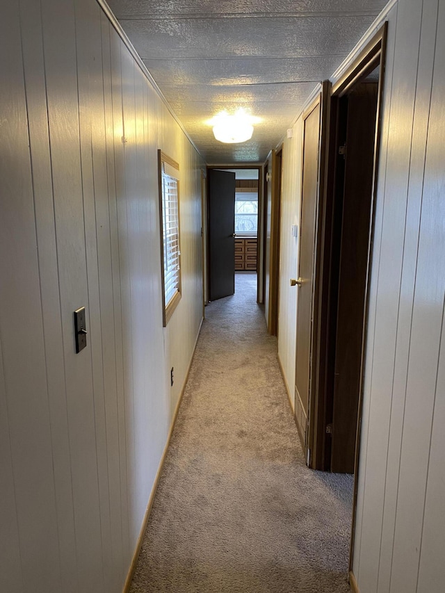 corridor featuring light colored carpet, wood walls, and a textured ceiling