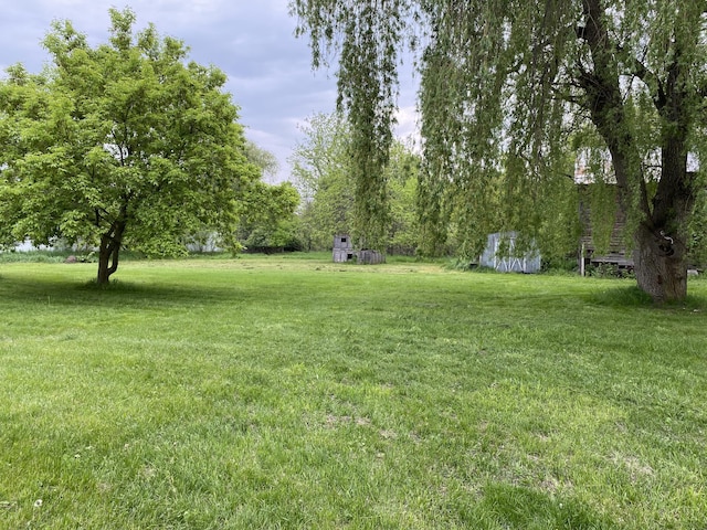 view of yard with a storage shed and an outbuilding