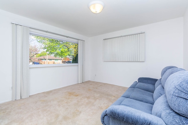 living area with carpet floors