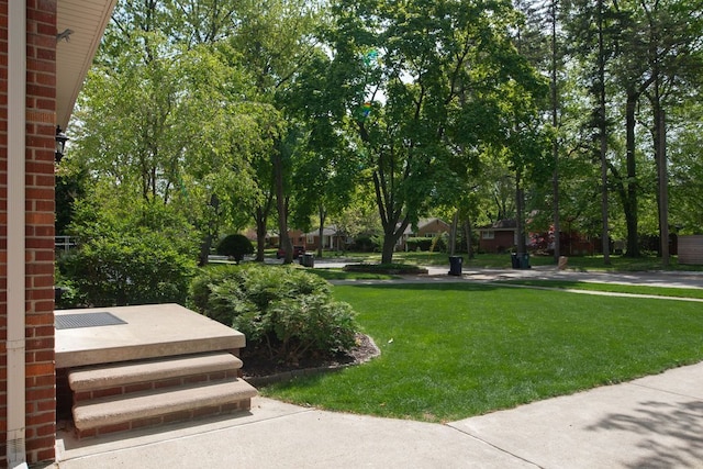 view of community with a yard
