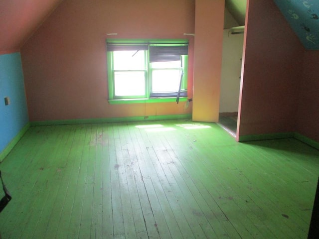 831 Bancroft St, Port Huron, MI 48060 - additional living space with lofted ceiling and hardwood / wood-style flooring
