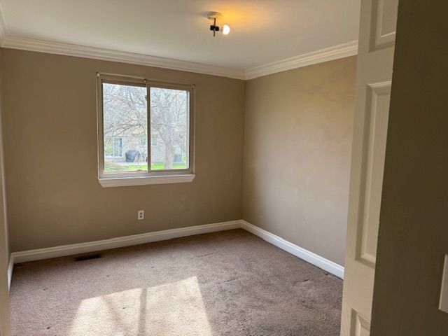 carpeted spare room featuring baseboards and ornamental molding
