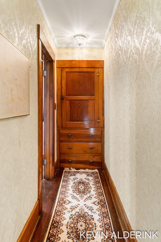 201 N Woodworth St, Corunna, MI 48817 - corridor featuring dark wood-style flooring and ornamental molding