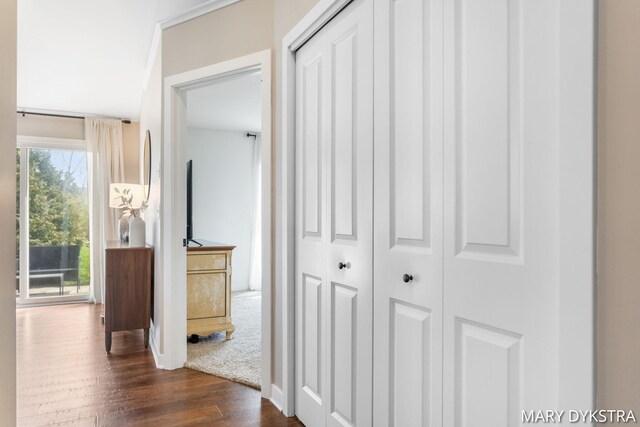 hallway featuring dark wood-style flooring