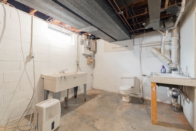 unfinished below grade area with a sink