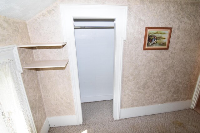 895 Flint Rd, Coldwater, MI 49036 - photo 36