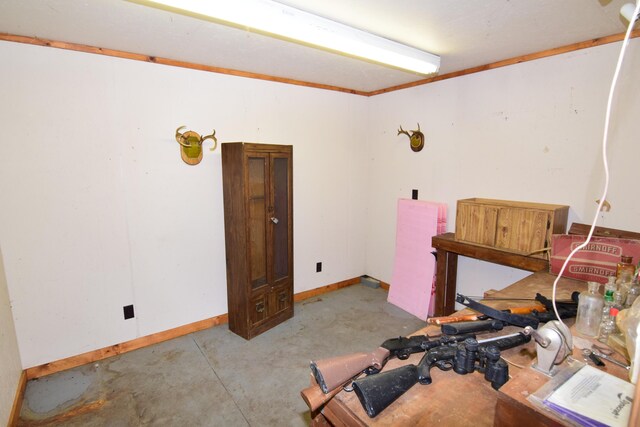 895 Flint Rd, Coldwater, MI 49036 - photo 44