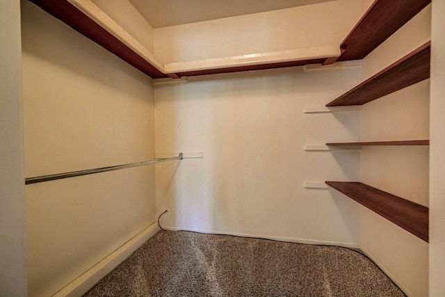 spacious closet with carpet floors