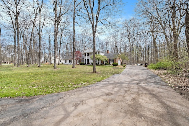 view of street with driveway
