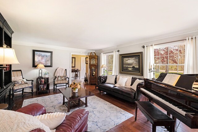 living area featuring baseboards, ornamental molding, and wood finished floors