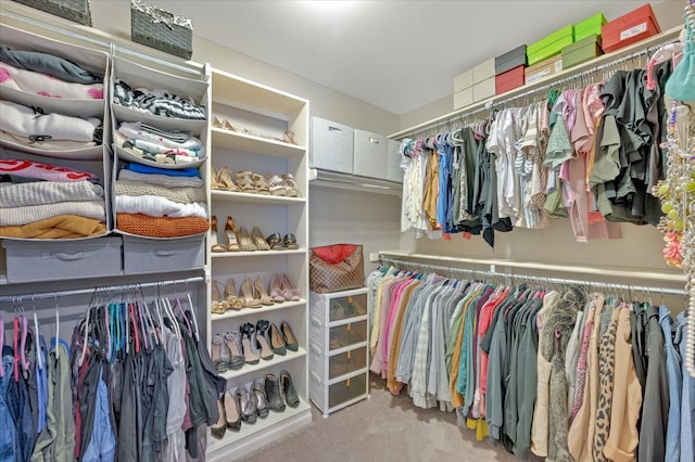 walk in closet featuring carpet floors
