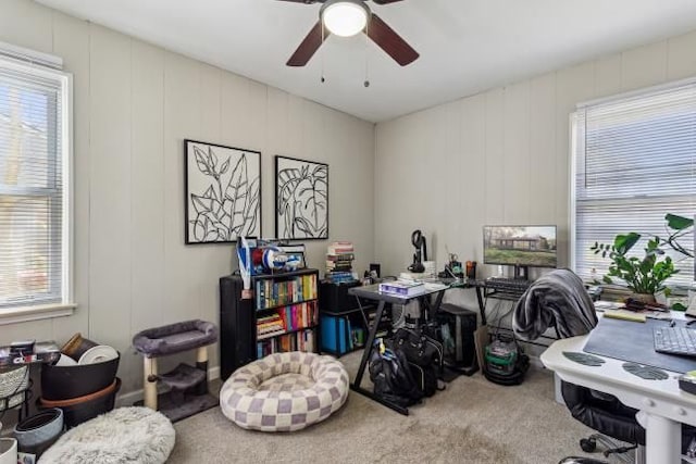 office featuring a healthy amount of sunlight, carpet, and a decorative wall