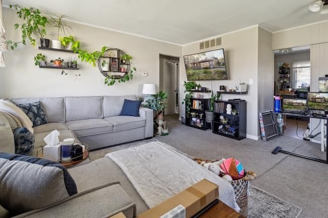 carpeted living room featuring visible vents and ornamental molding