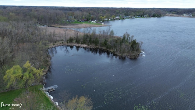 aerial view featuring a water view and a view of trees