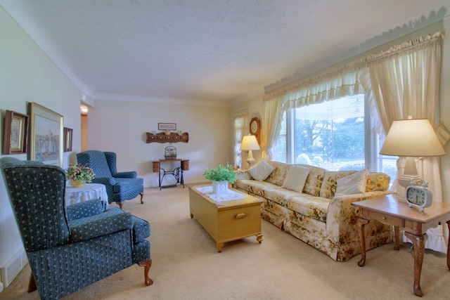 living room featuring a textured ceiling and light carpet