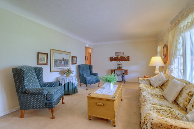 living room featuring carpet flooring