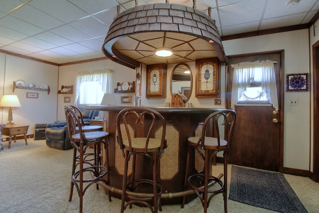 bar featuring baseboards, ornamental molding, carpet, and bar area