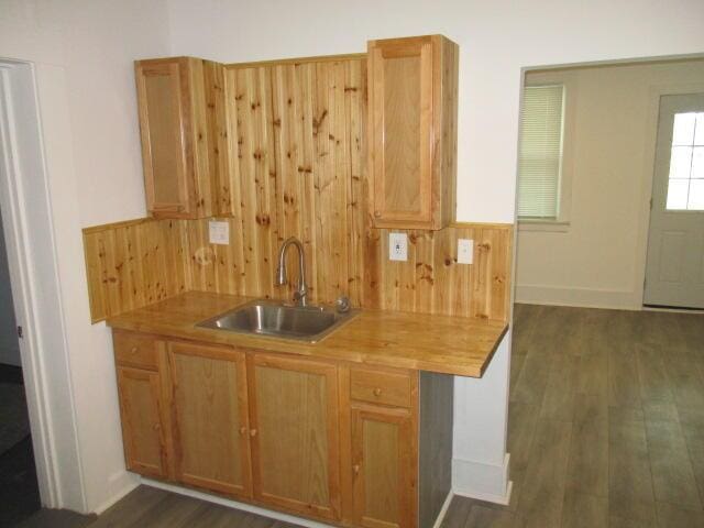 kitchen with butcher block countertops, a sink, and dark wood-type flooring