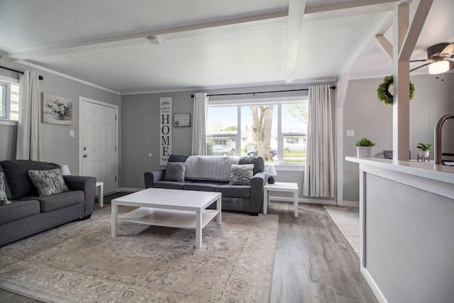 living area with plenty of natural light, light wood finished floors, beam ceiling, a ceiling fan, and baseboards