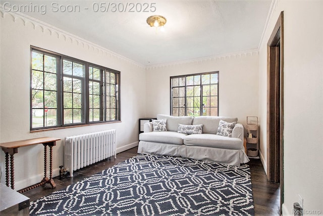 1301 Bishop Rd, Grosse Pointe Park, MI 48230 - living area with radiator, ornamental molding, dark wood finished floors, and baseboards