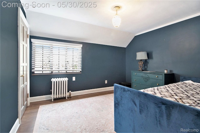 1301 Bishop Rd, Grosse Pointe Park, MI 48230 - bedroom with radiator, wood finished floors, lofted ceiling, and baseboards