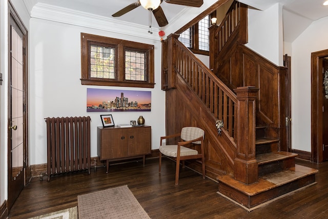 stairway featuring radiator heating unit, plenty of natural light, a ceiling fan, and wood finished floors