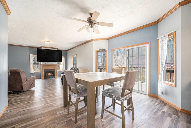 dining space with baseboards, a textured ceiling, wood finished floors, and a warm lit fireplace