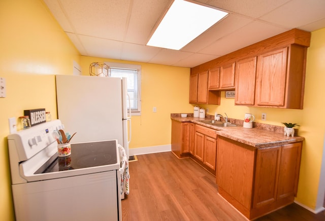 kitchen featuring a sink, light wood finished floors, a drop ceiling, and white appliances