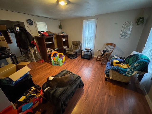 living area featuring wood finished floors