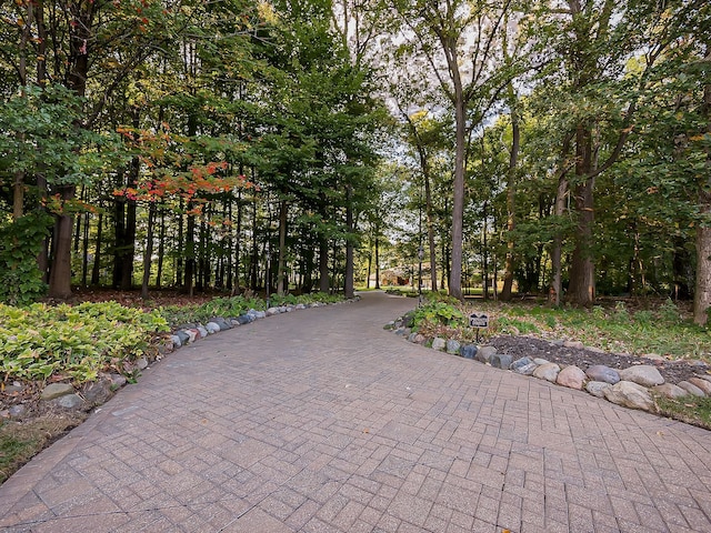 17477 Iris Cir, Clinton Township, MI 48036 - view of community