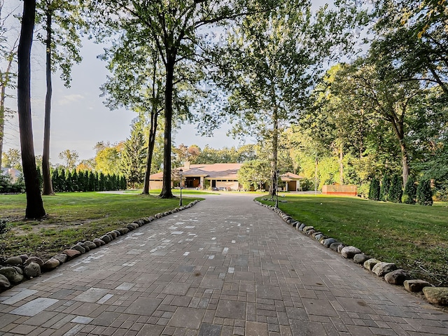 17477 Iris Cir, Clinton Township, MI 48036 - view of home's community featuring a yard and driveway