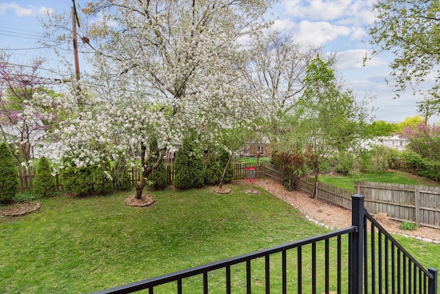 view of yard featuring a fenced backyard