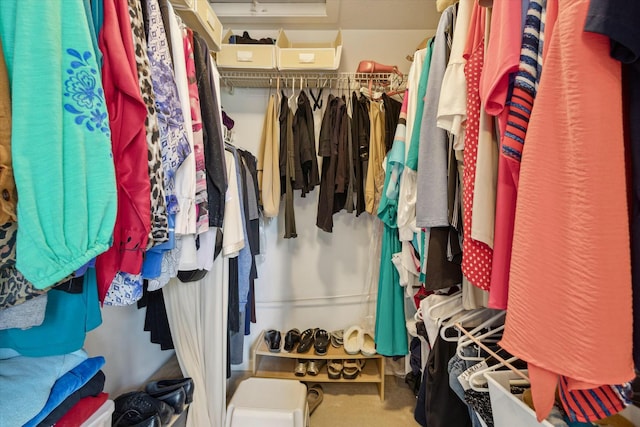 spacious closet with carpet flooring
