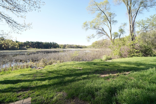 1298 E Highland Rd, Highland, MI 48356 - view of green lawn with a water view