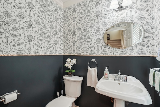 29044 Thistle Ln, Harrison Township, MI 48045 - half bathroom with a sink, wallpapered walls, and toilet