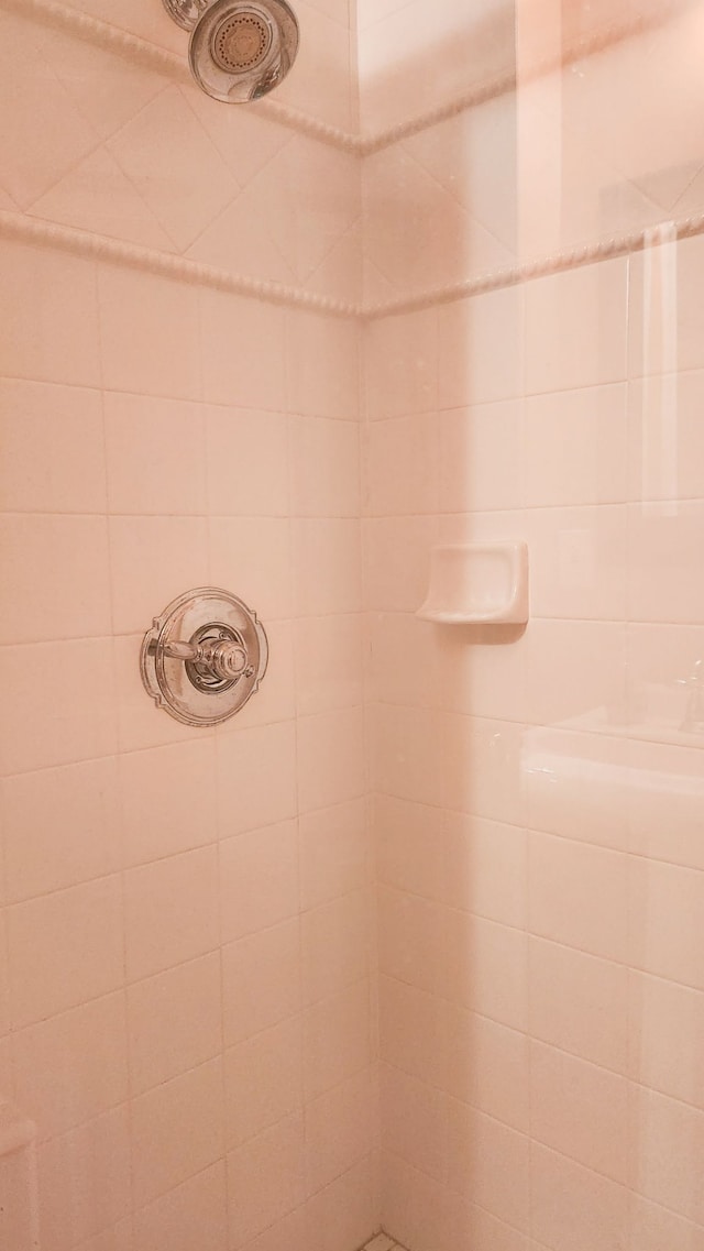 29044 Thistle Ln, Harrison Township, MI 48045 - interior details featuring tiled shower