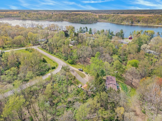 aerial view featuring a water view and a wooded view