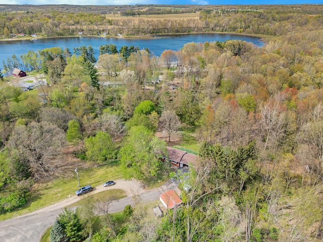 birds eye view of property with a water view and a view of trees