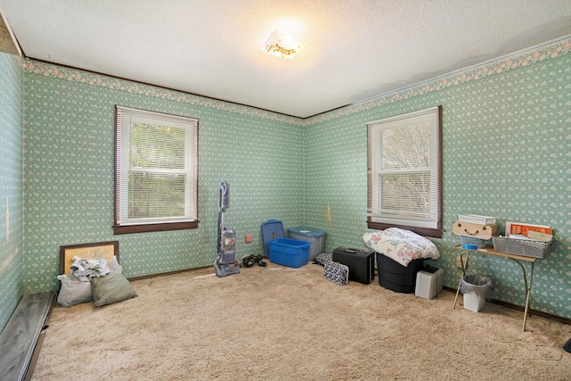 recreation room featuring a textured ceiling and carpet